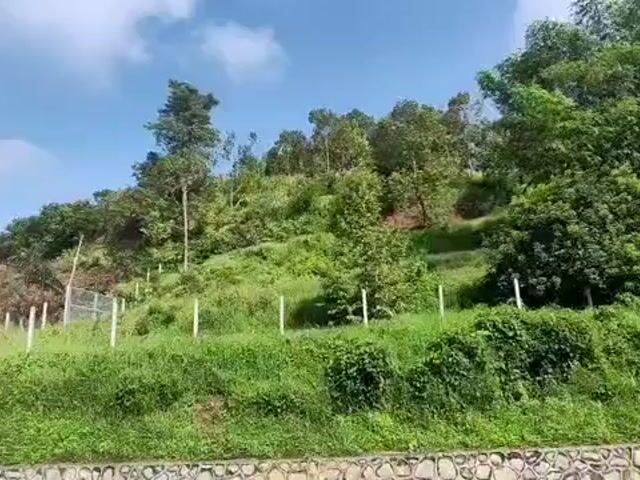 Video Image 1