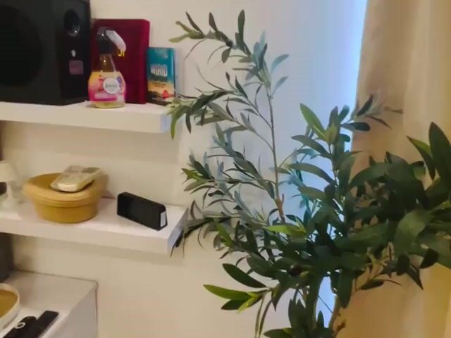 Video Image 1