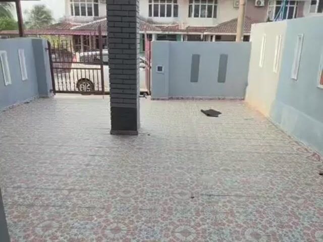 Video Image 1