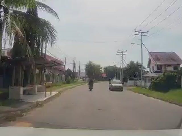 Video Image 1