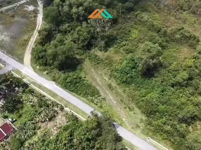 Video Image 1