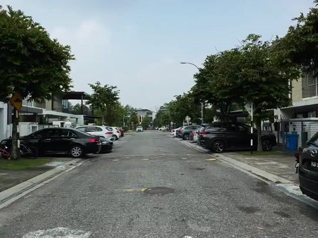 Video Image 1