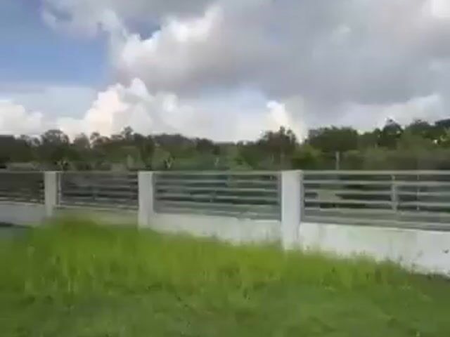 Video Image 1