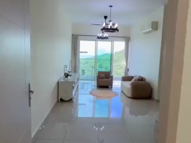 Video Image 1