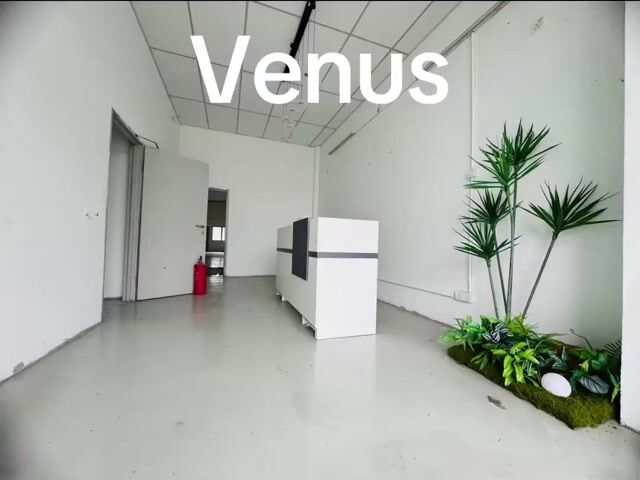 Video Image 1