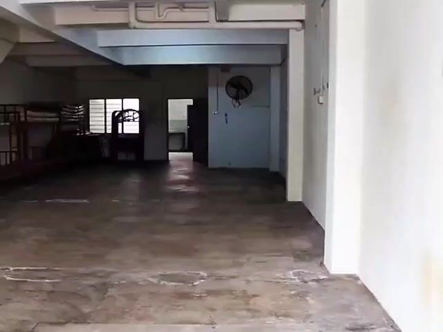 Video Image 1
