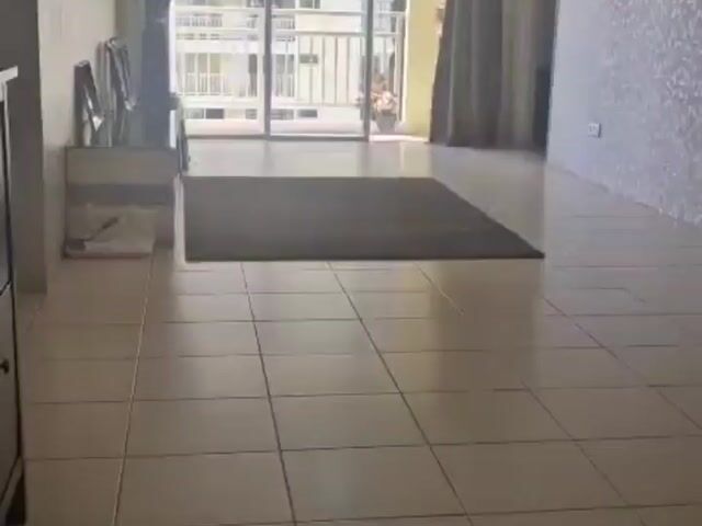 Video Image 1