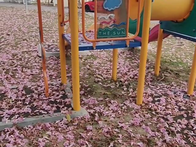Video Image 1