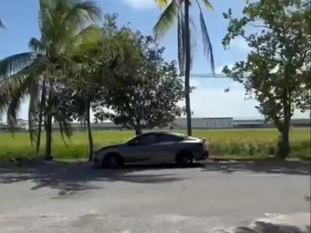 Video Image 1