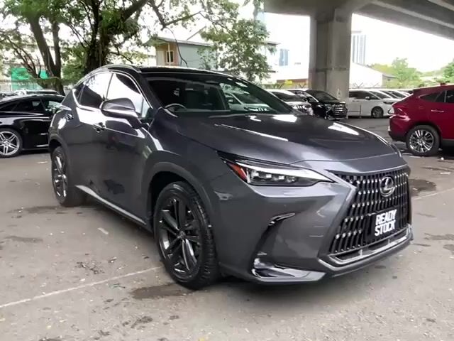 2023 Lexus NX250 2.5 LUXURY (A) 12K-Km PANROOF 5A - 1