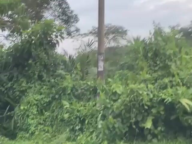 Video Image 1