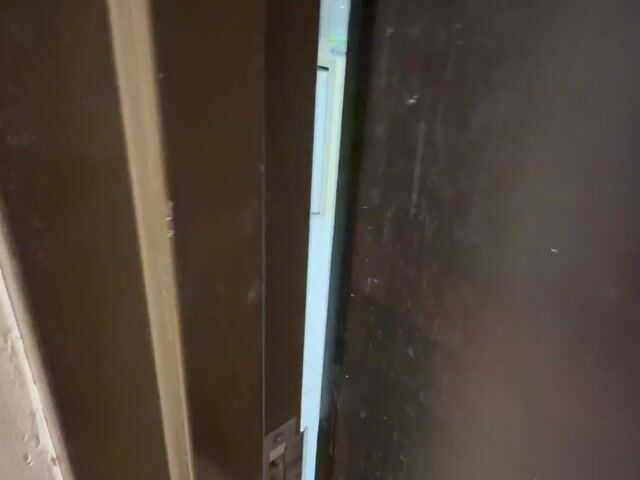 Video Image 1