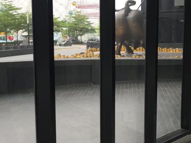 Video Image 1
