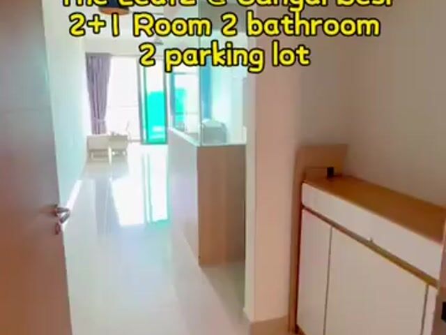 Video Image 1