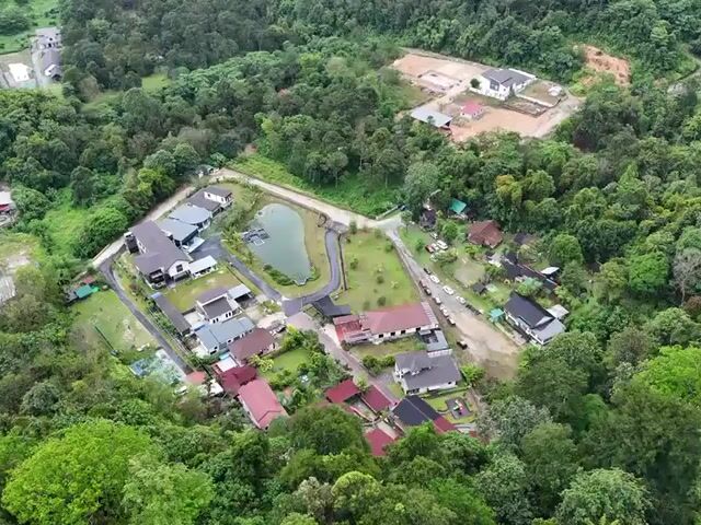 Video Image 1