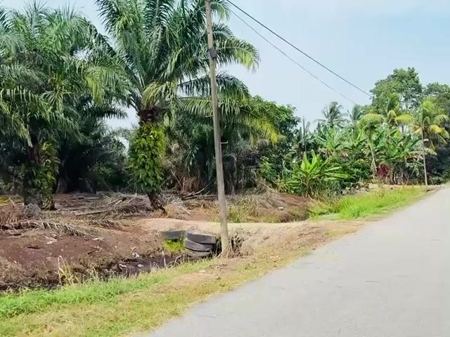 Video Image 1