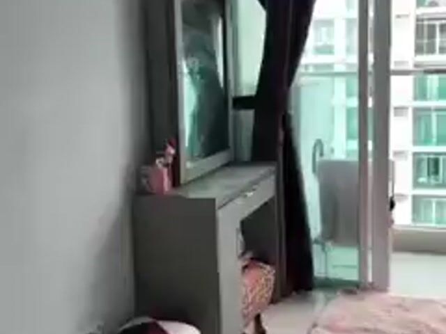 Video Image 1