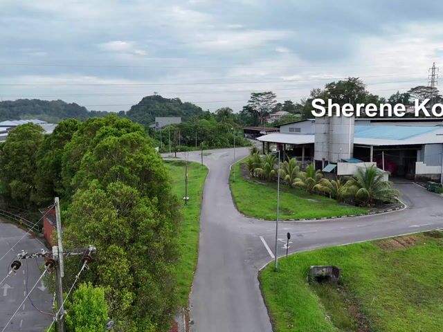 Video Image 1
