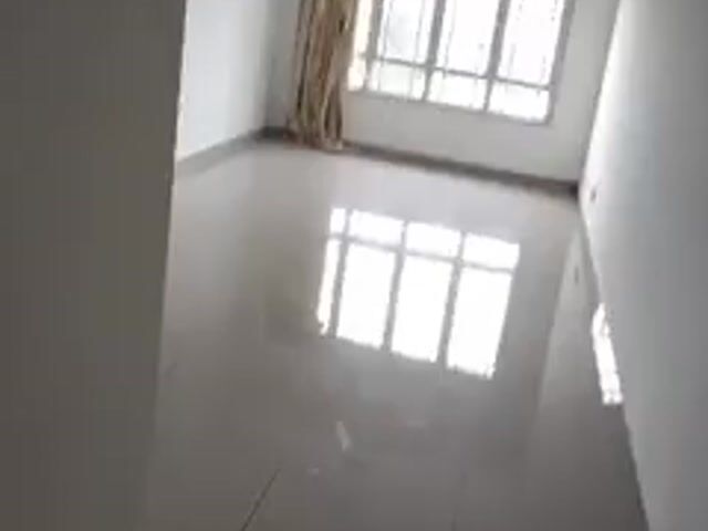 Video Image 1