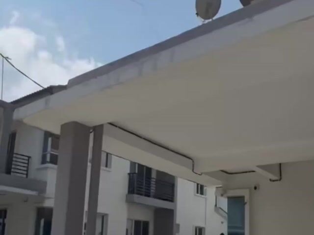Video Image 1