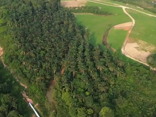 Video Image 1