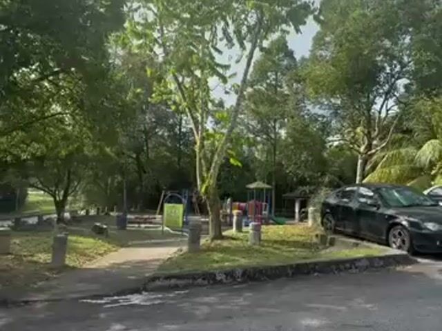 Video Image 1
