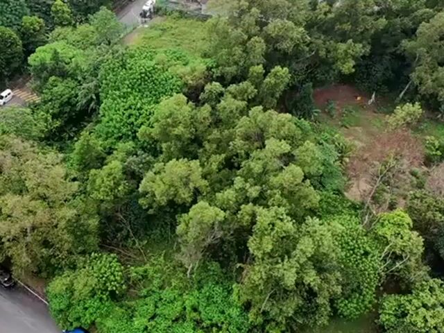 Video Image 1