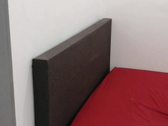 Video Image 1