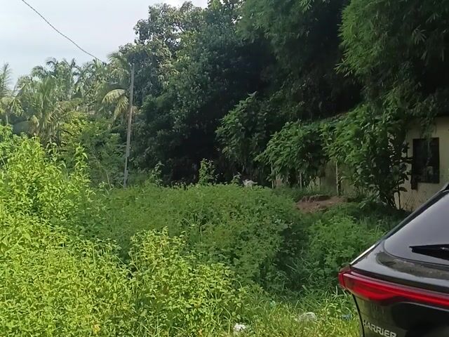 Video Image 1