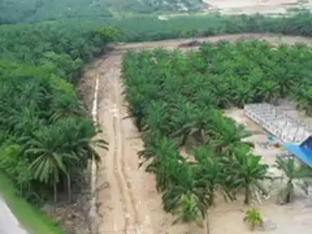 Video Image 1