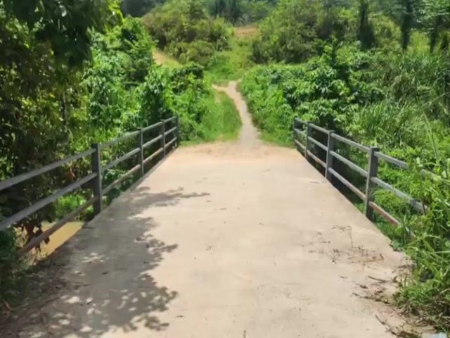 Video Image 1