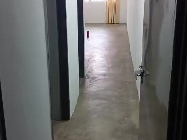 Video Image 1