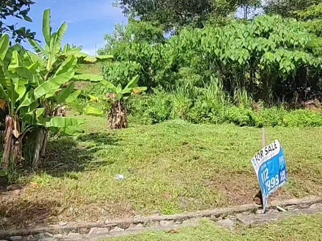 Video Image 1
