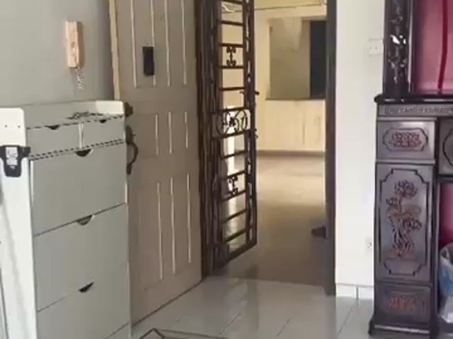 Video Image 1