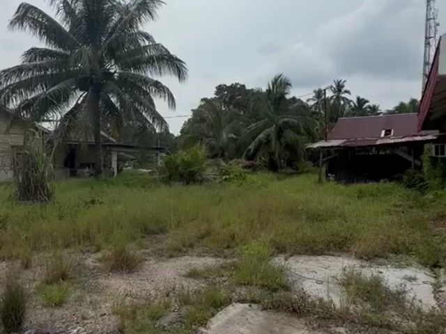 Video Image 1