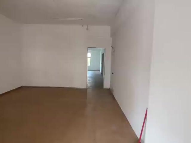 Video Image 1