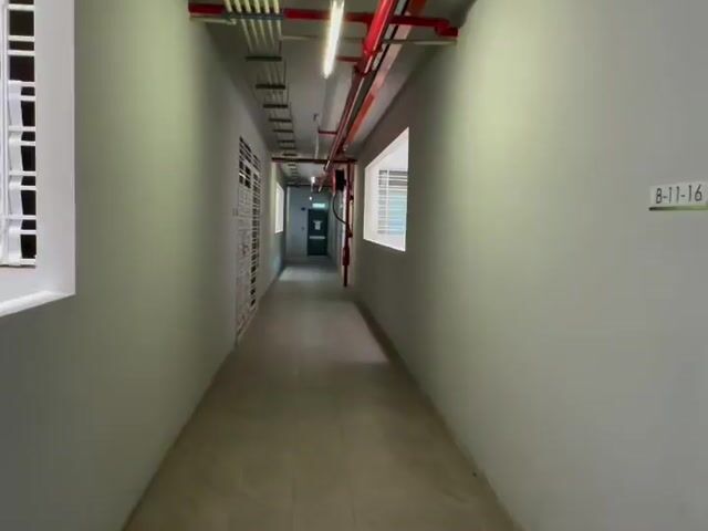 Video Image 1
