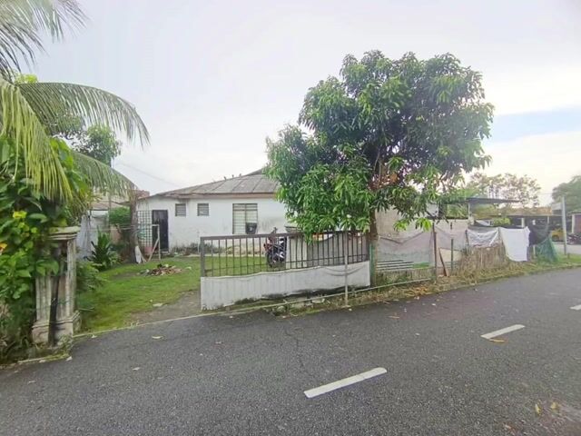 Video Image 1