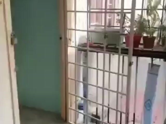 Video Image 1