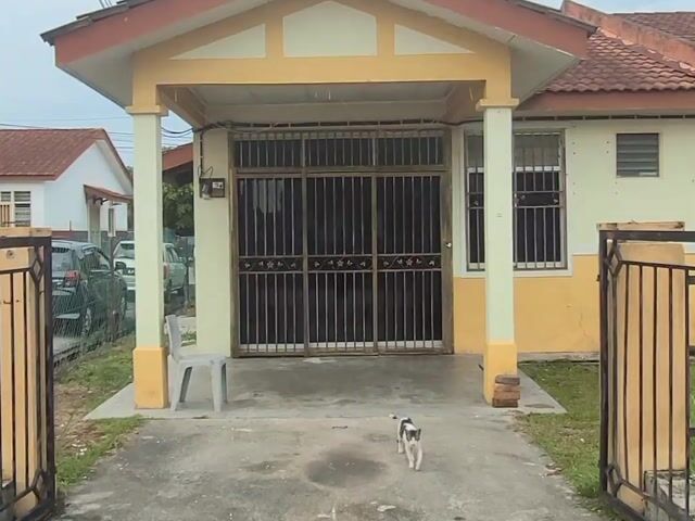 Video Image 1