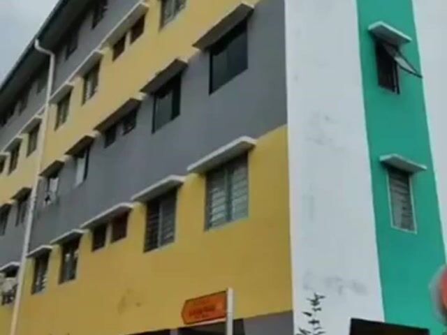 Video Image 1