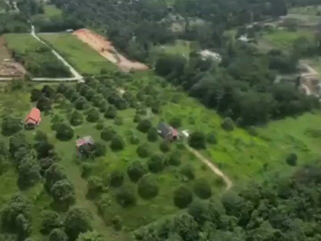 Video Image 1
