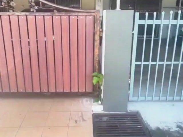 Video Image 1