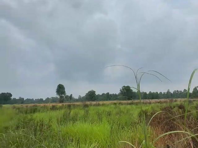 Video Image 1