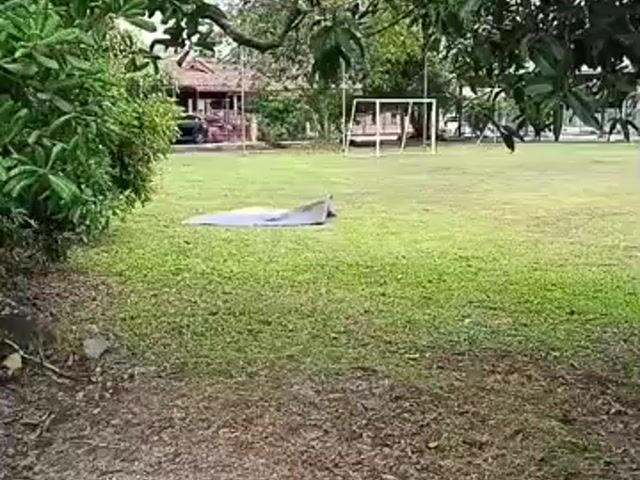 Video Image 1