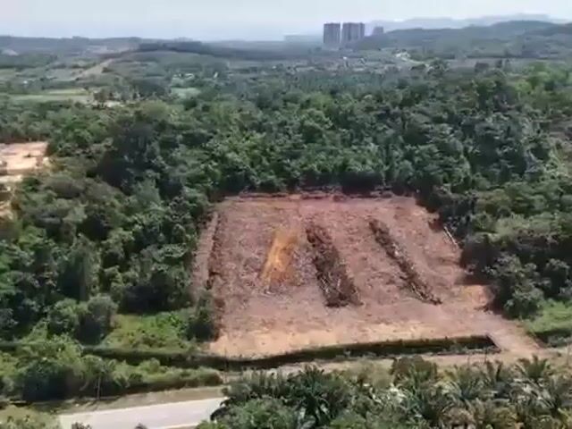 Video Image 1