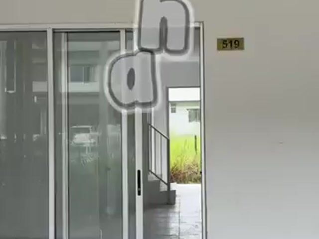 Video Image 1