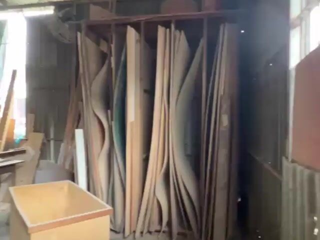 Video Image 1