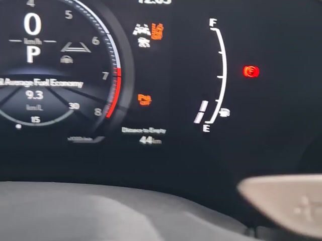 2023 Lexus NX250 2.5 Luxury Panoramic Roof Unreg - 1