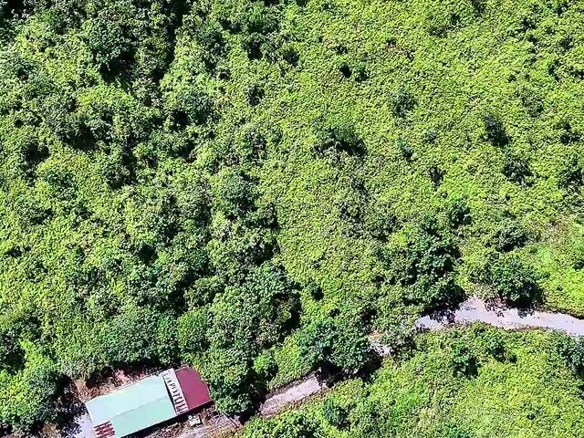 Video Image 1